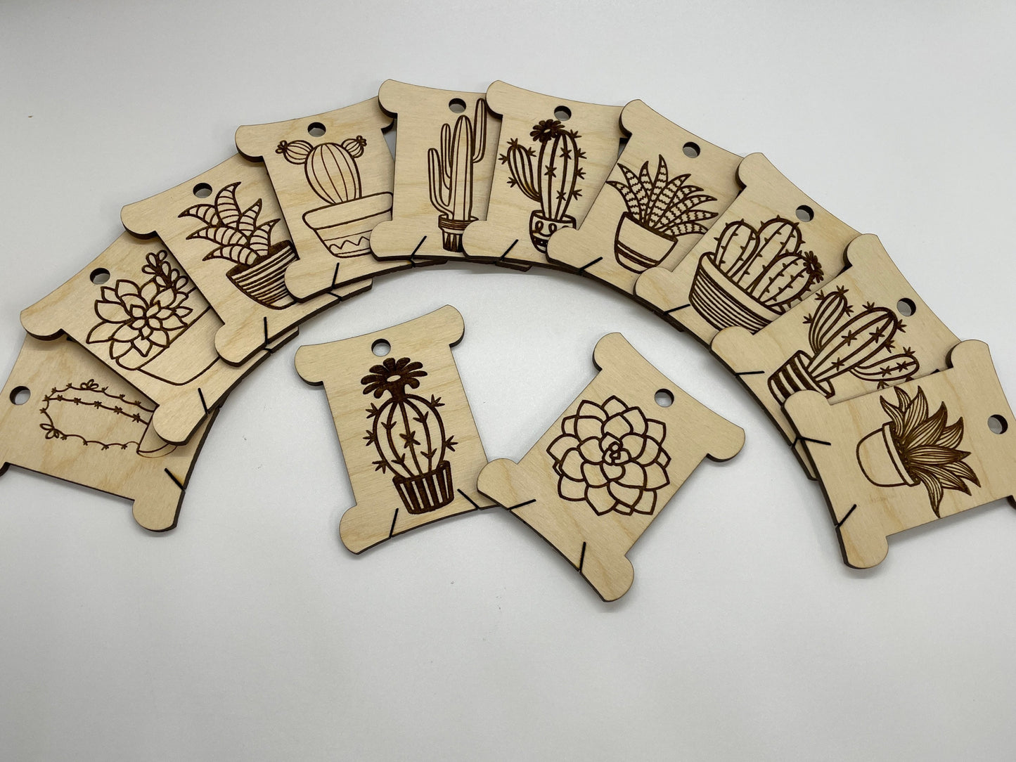 Wooden tags with cactus designs arranged in a semi-circle on a white background